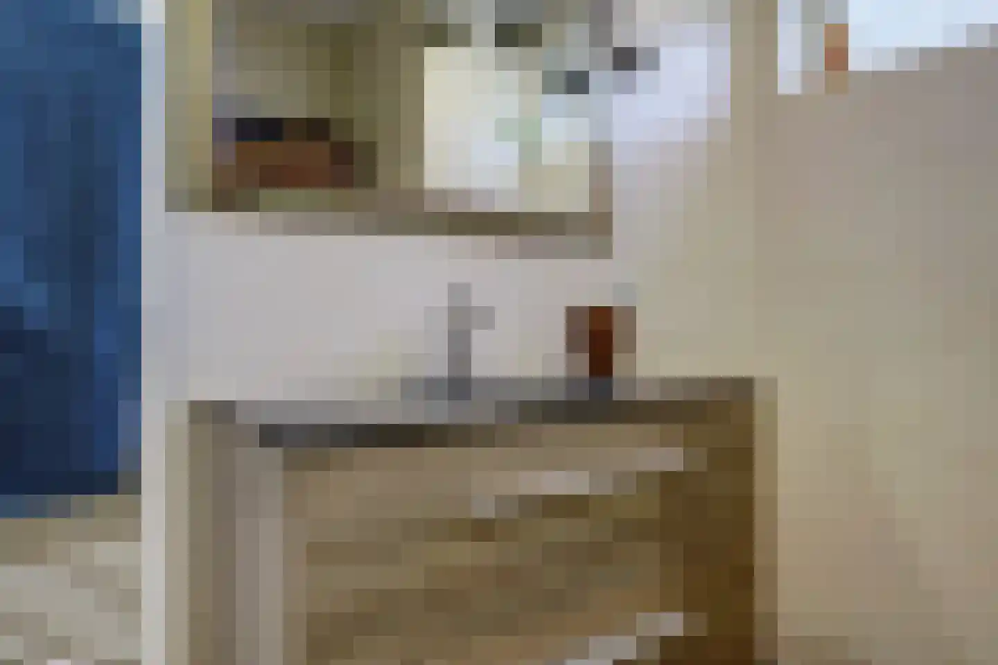 Steenovenweg 27 Schoonrewoerd thumbnail 24