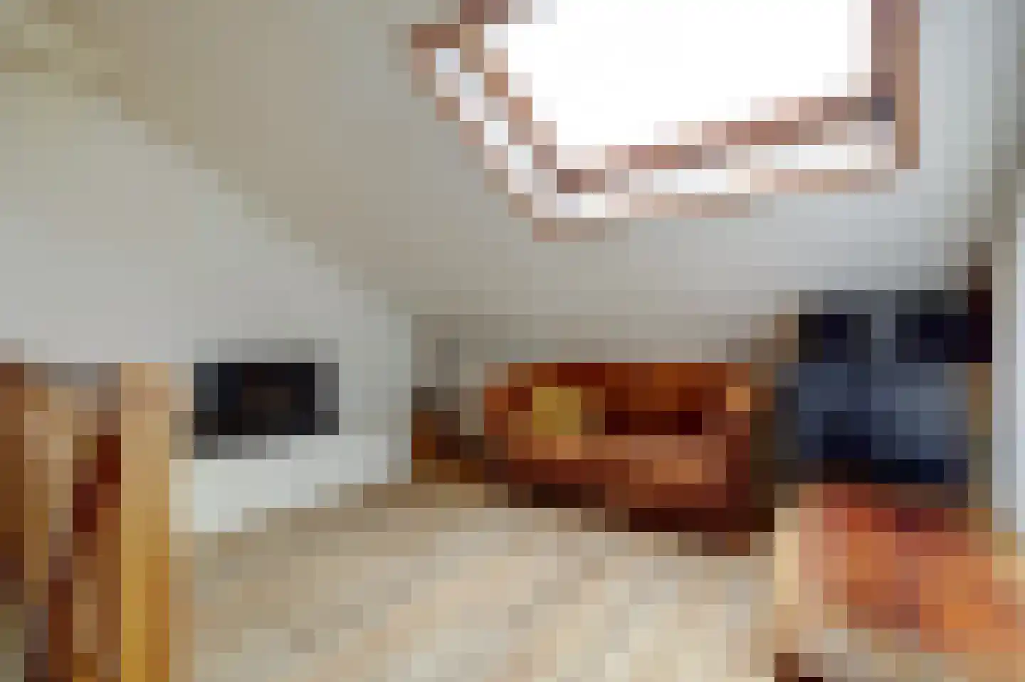 Steenovenweg 27 Schoonrewoerd thumbnail 27