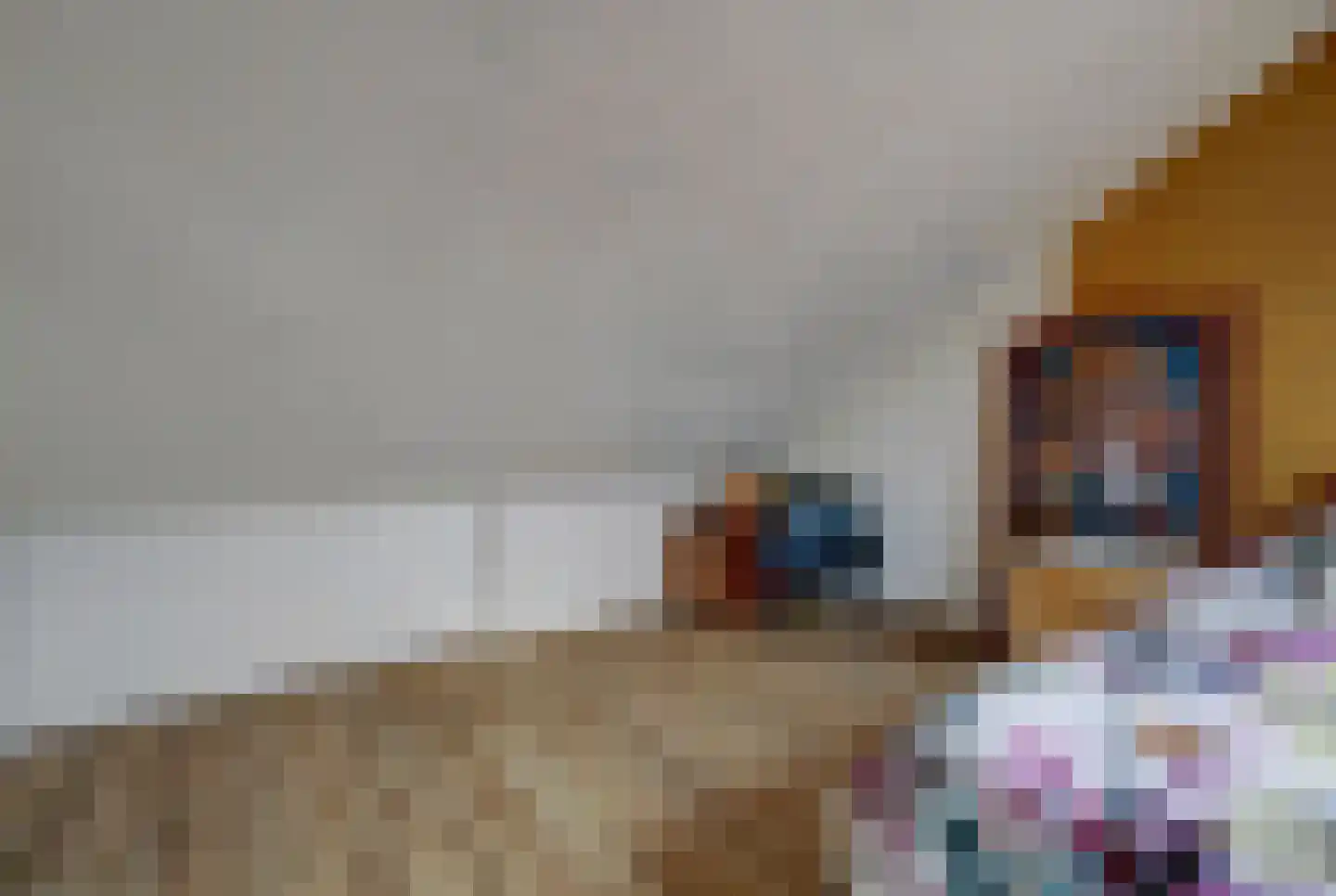 Steenovenweg 27 Schoonrewoerd thumbnail 30