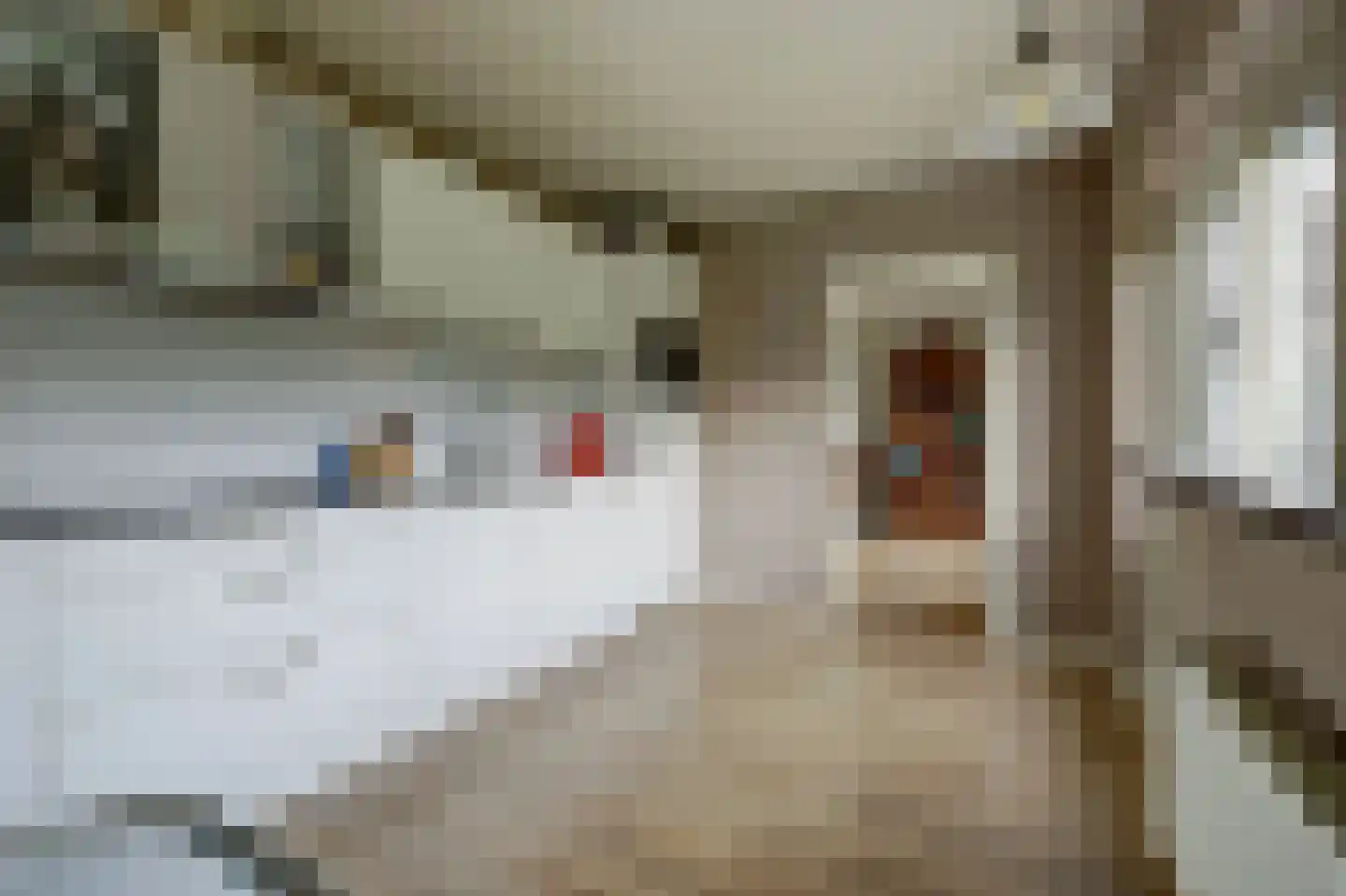 Steenovenweg 27 Schoonrewoerd thumbnail 4