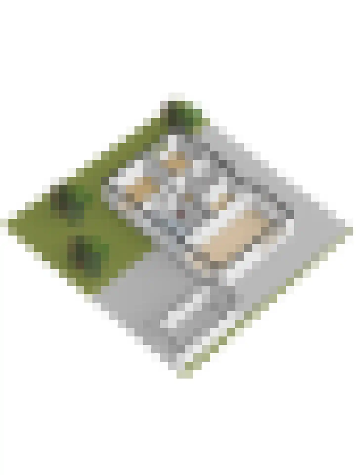 Steenovenweg 27 Schoonrewoerd thumbnail 60