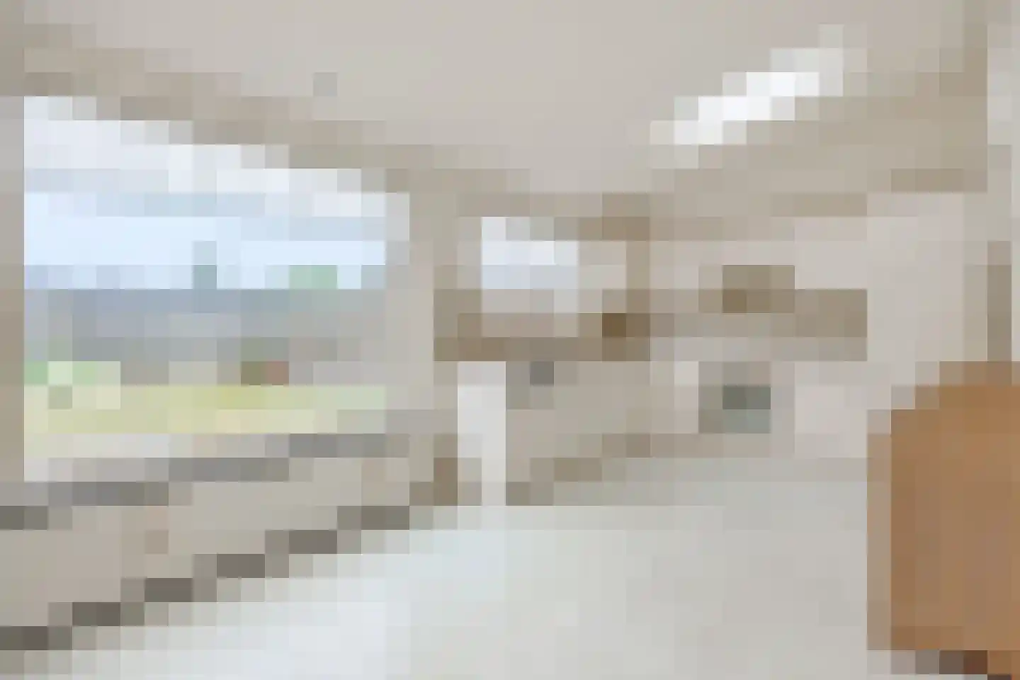 Steenovenweg 9 Deurne thumbnail 16