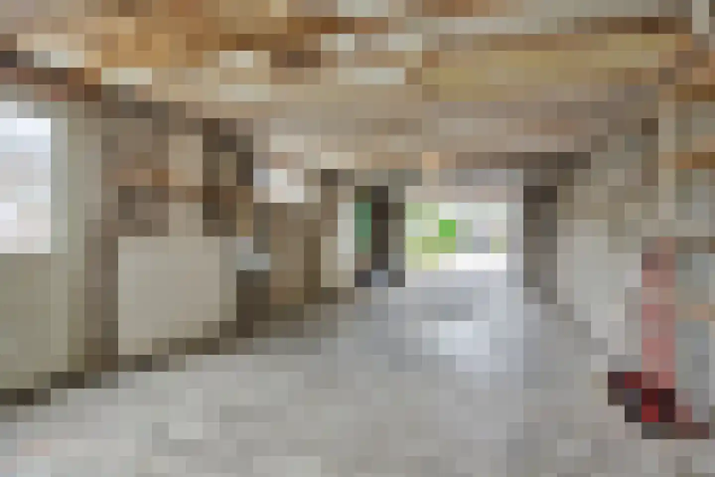 Steenovenweg 9 Deurne thumbnail 33