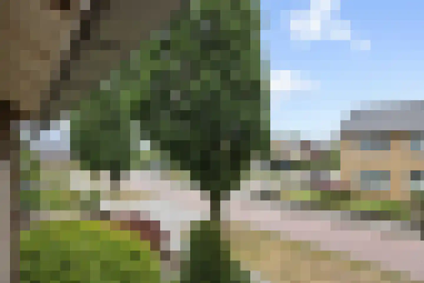 Steenovenweg 9 Deurne thumbnail 36