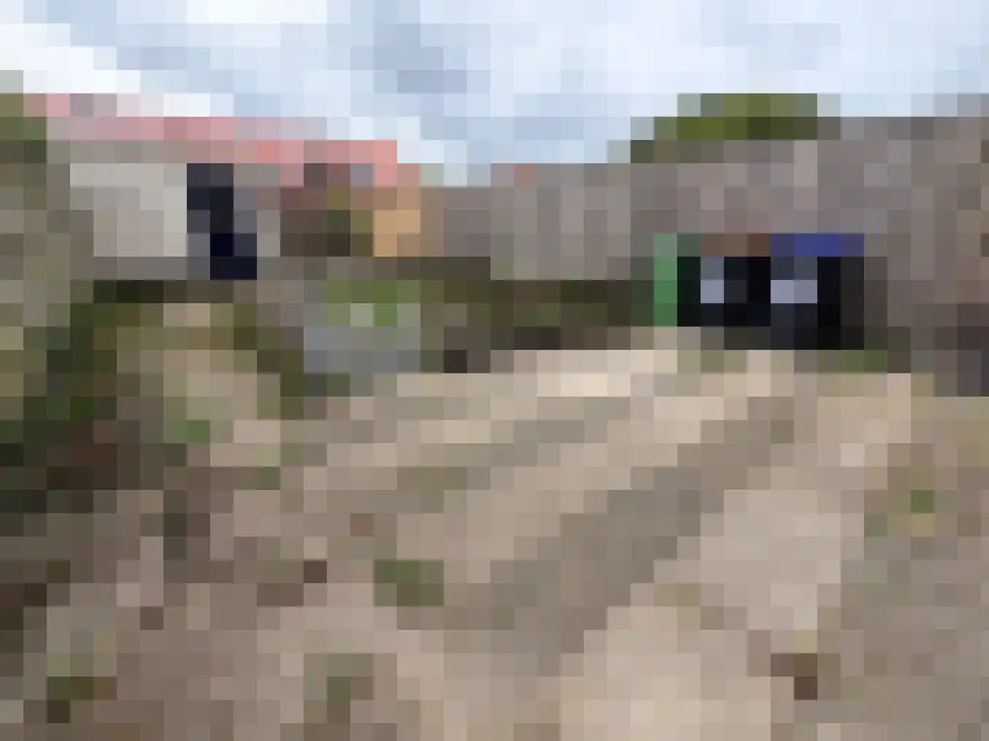 Steenplaat 11 Zeewolde thumbnail 31