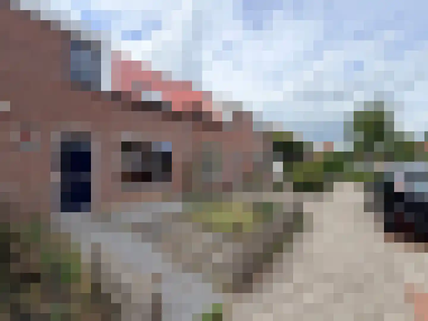 Steenplaat 11 Zeewolde thumbnail 6
