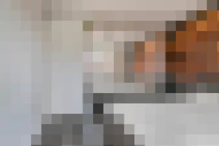Steenplaat 20 Zeewolde thumbnail 16