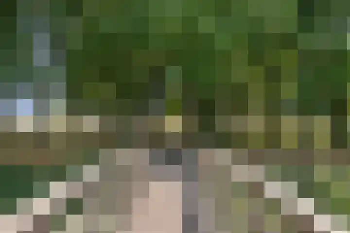 Steenplaat 20 Zeewolde thumbnail 28