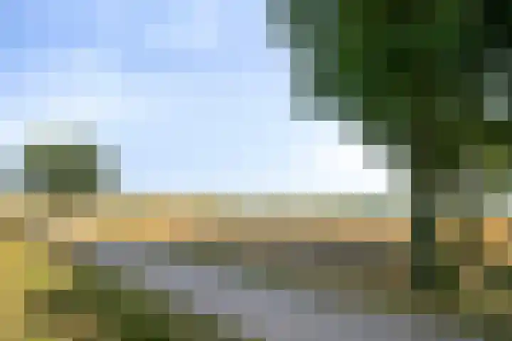 Steenplaat 20 Zeewolde thumbnail 29