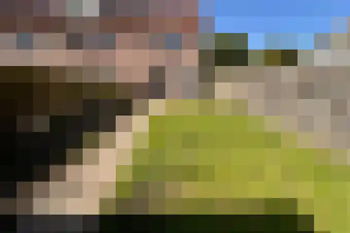 Steenplaat 34 Zeewolde thumbnail 4