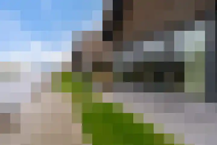 Steenplaat 34 Zeewolde thumbnail 8