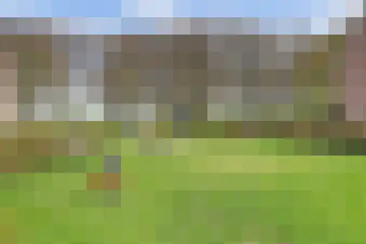 Steenplaat 7 Zeewolde thumbnail 31