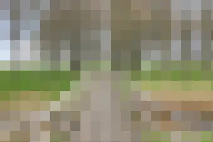 Steenplaat 7 Zeewolde thumbnail 32