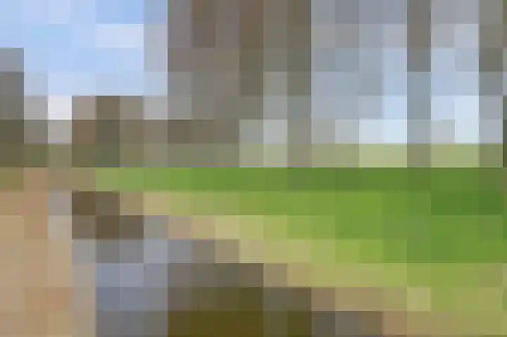 Steenplaat 7 Zeewolde thumbnail 33