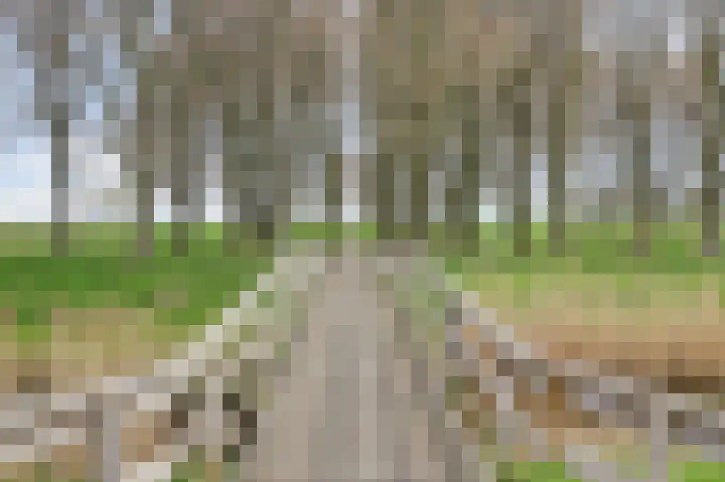 Steenplaat 7 Zeewolde thumbnail 38