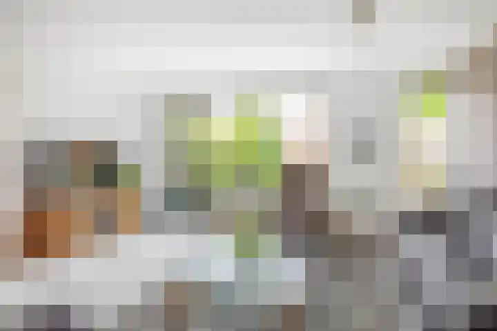 Steenplaats 28 Krimpen aan den IJssel thumbnail 10
