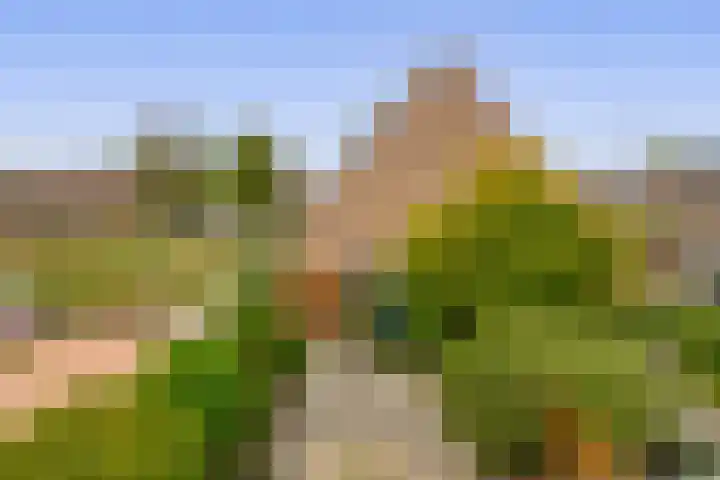 Steenplaats 28 Krimpen aan den IJssel thumbnail 36