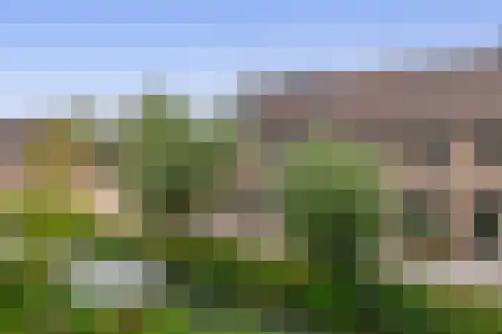Steenplaats 28 Krimpen aan den IJssel thumbnail 5