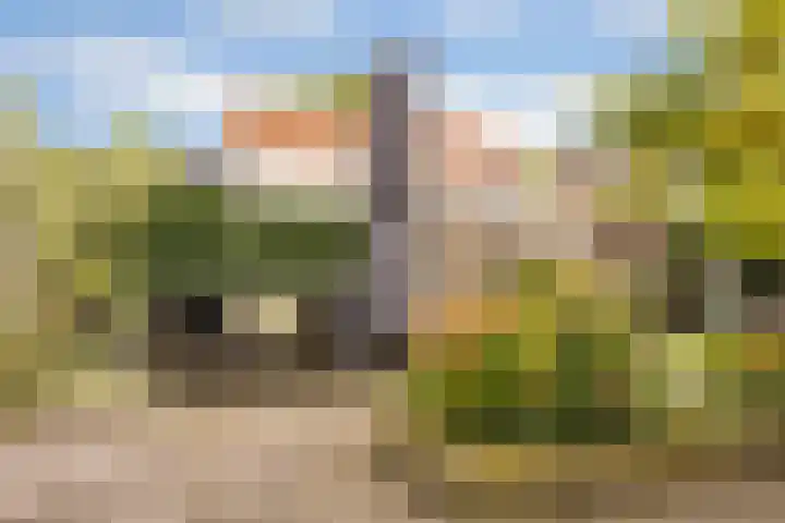 Steenrietweg 14 Hengelo thumbnail 38