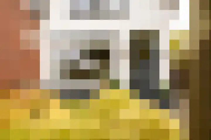 Steenrietweg 14 Hengelo thumbnail 9