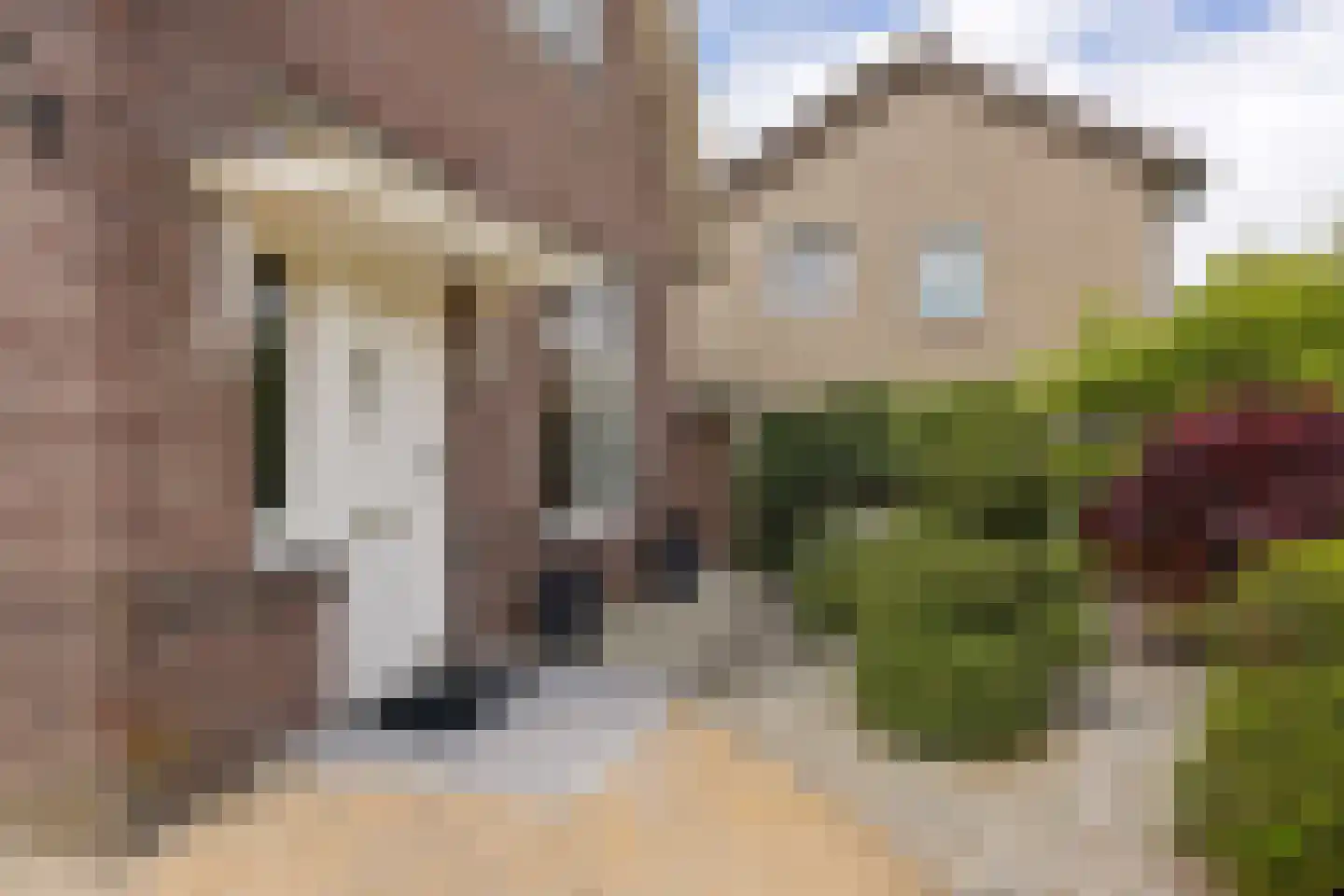 Steenrietweg 28 Hengelo thumbnail 10