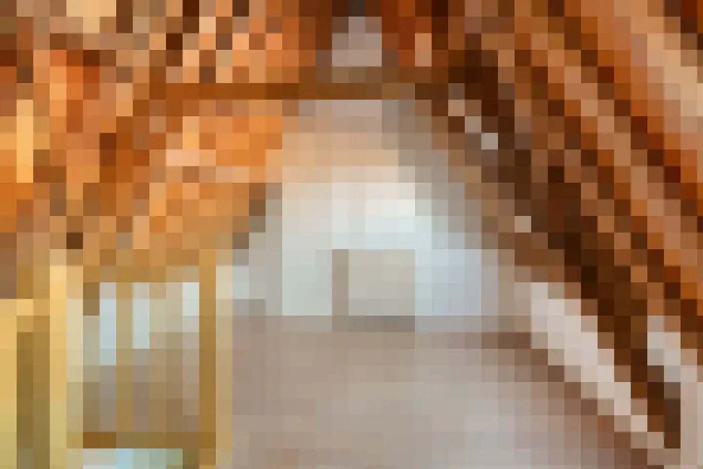 Steenschuur 14 A Leiden thumbnail 11