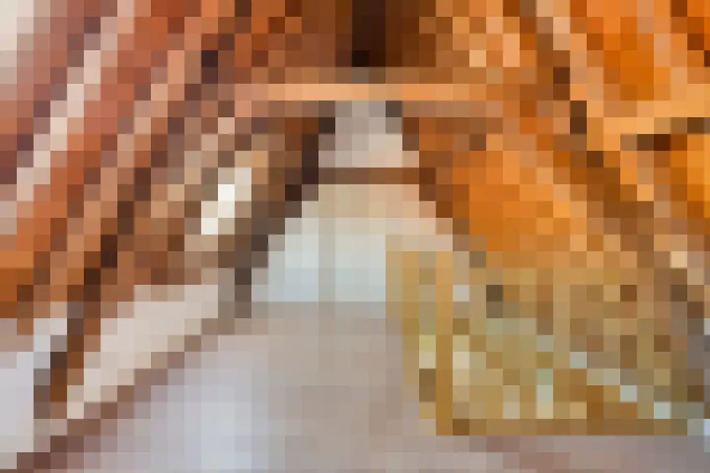 Steenschuur 14 A Leiden thumbnail 12