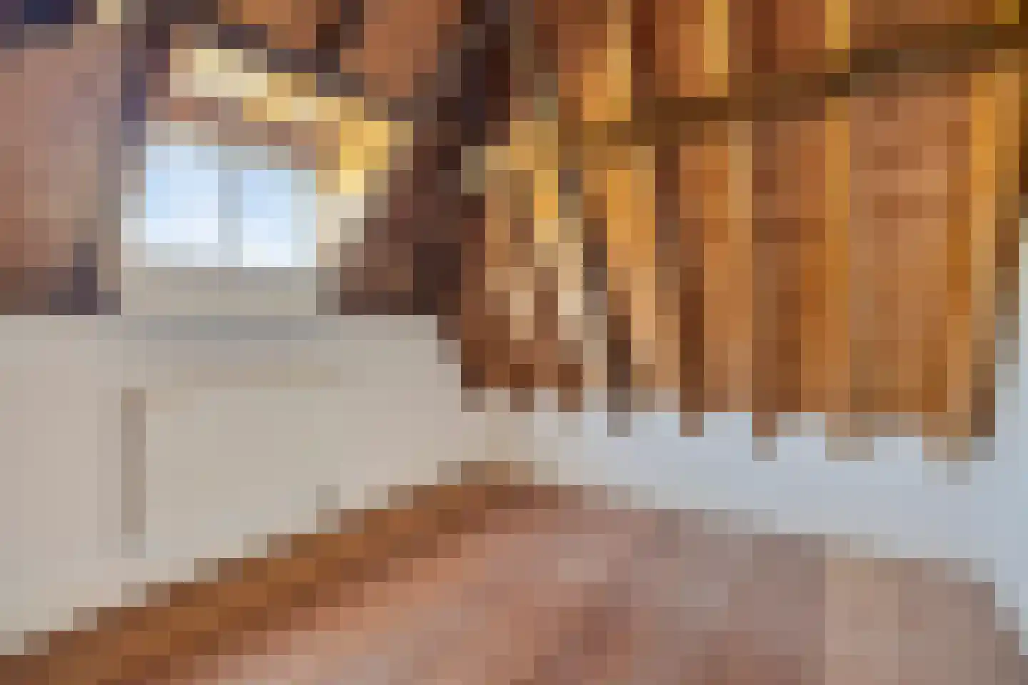 Steenschuur 14 A Leiden thumbnail 13