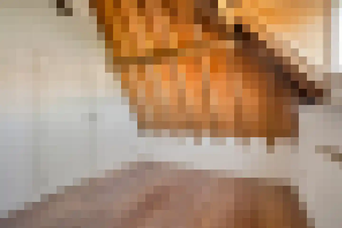 Steenschuur 14 A Leiden thumbnail 14
