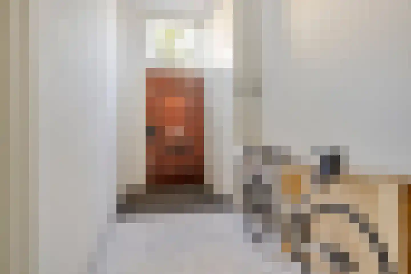 Steenschuur 14 A Leiden thumbnail 19