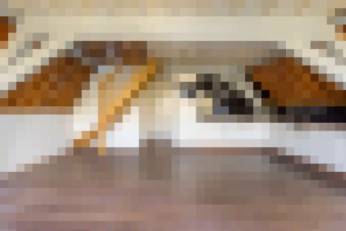 Steenschuur 14 A Leiden thumbnail 4