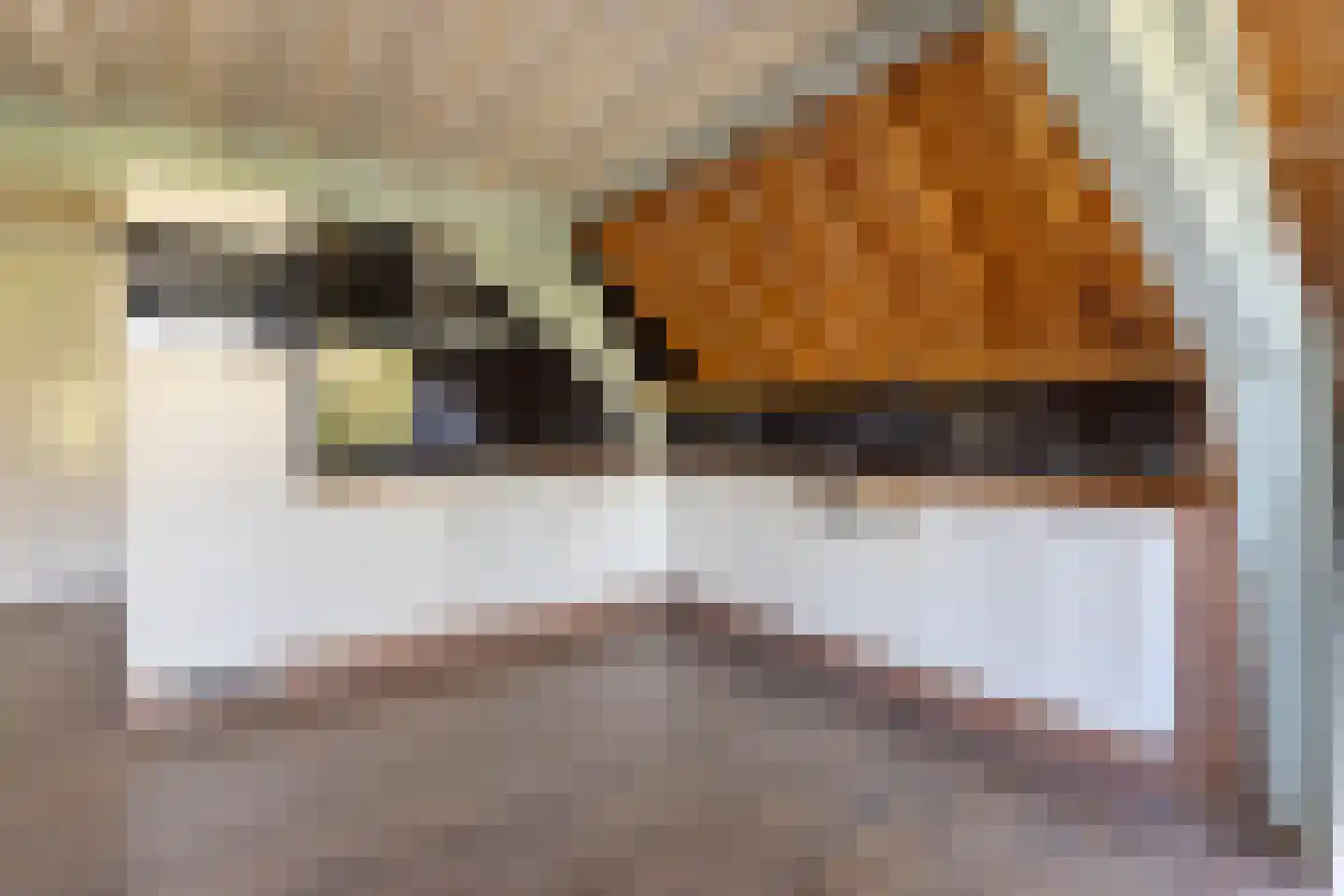 Steenschuur 14 A Leiden thumbnail 6