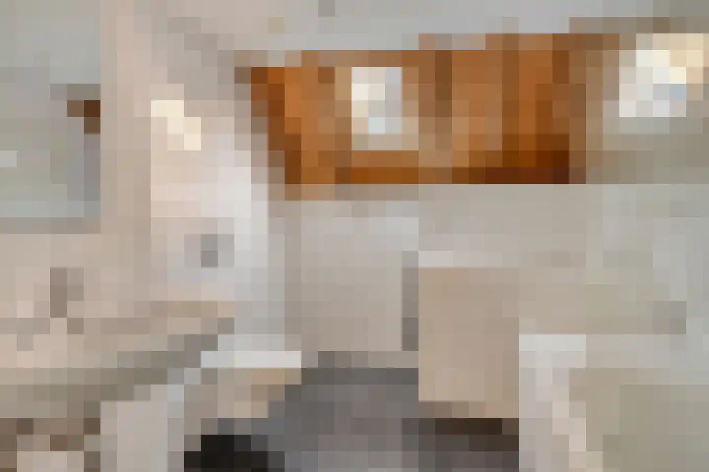 Steenschuur 14 A Leiden thumbnail 7