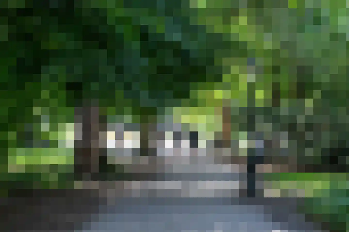 Steenschuur 14 Leiden thumbnail 35