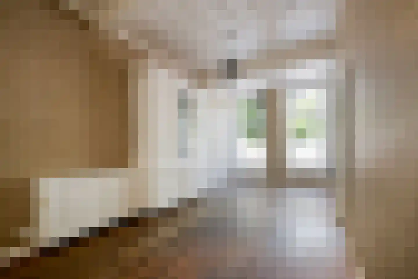 Steenschuur 14 Leiden thumbnail 4