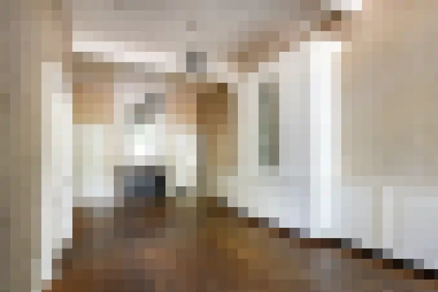 Steenschuur 14 Leiden thumbnail 5