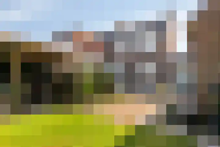 Steensedijk 102 Hulst thumbnail 26