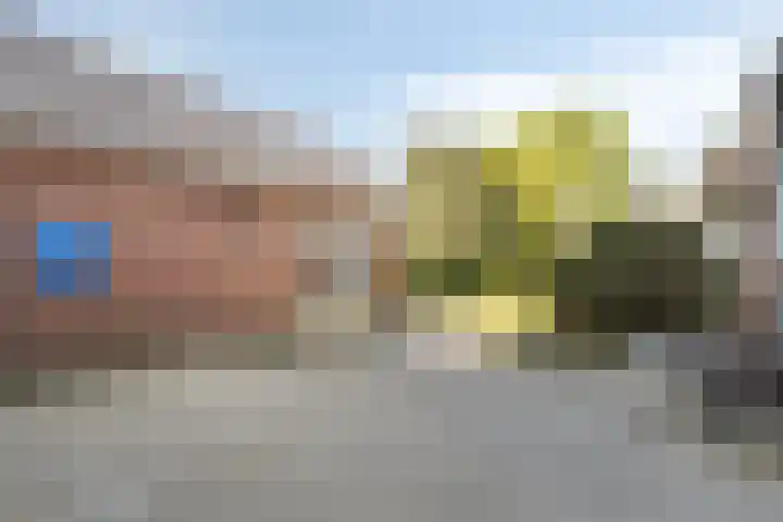 Steensedijk 102 Hulst thumbnail 27