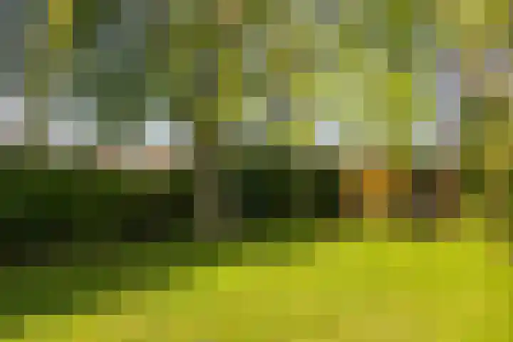 Steensedijk 102 Hulst thumbnail 30