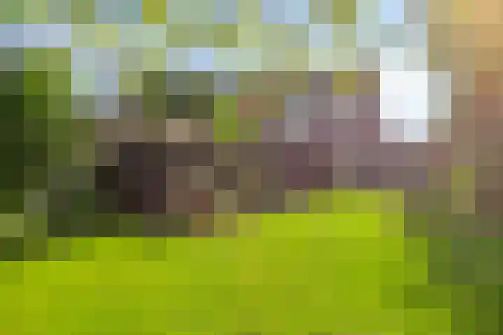 Steensedijk 102 Hulst thumbnail 31