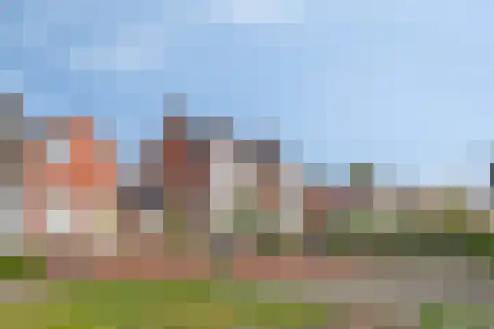 Steensedijk 102 Hulst thumbnail 33