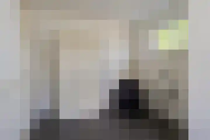 Steensedijk 42 Hulst thumbnail 13