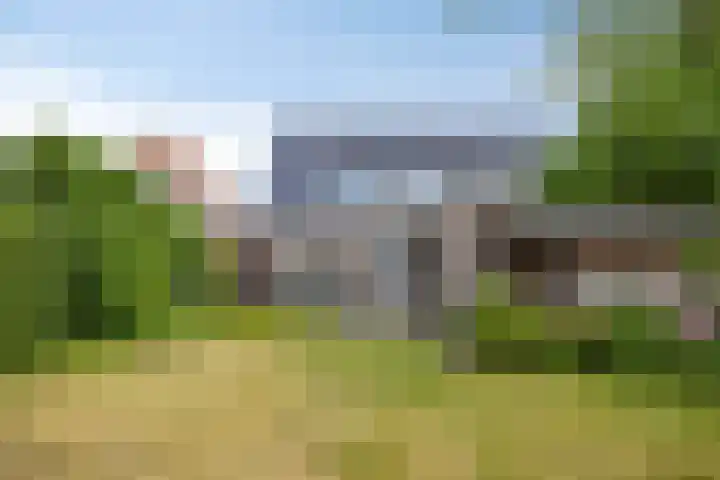 Steensedijk 42 Hulst thumbnail 30