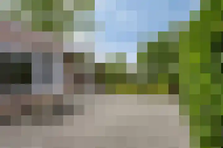 Steensedijk 42 Hulst thumbnail 31