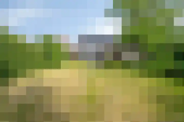 Steensedijk 42 Hulst thumbnail 32