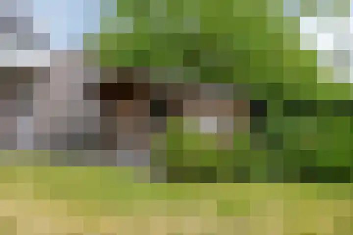 Steensedijk 42 Hulst thumbnail 33