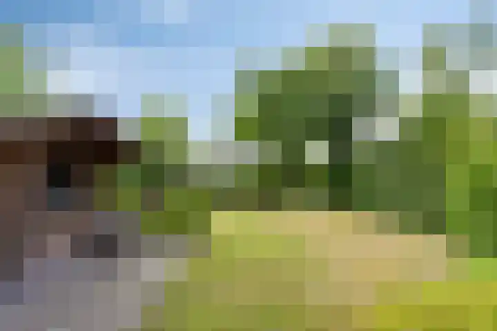 Steensedijk 42 Hulst thumbnail 34