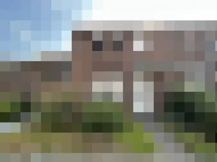 Steensedijk 42 Hulst thumbnail 38