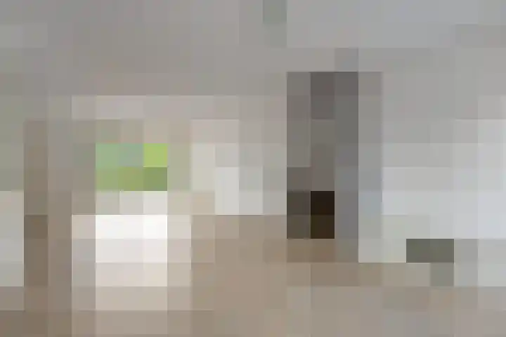 Steensedijk 42 Hulst thumbnail 4