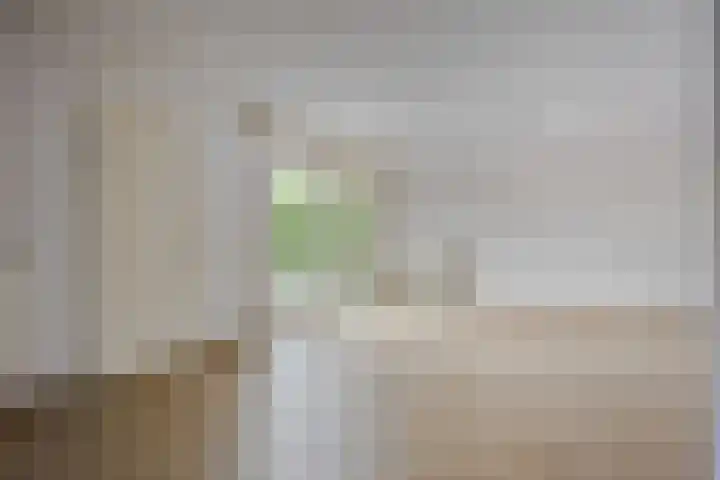 Steensedijk 42 Hulst thumbnail 7